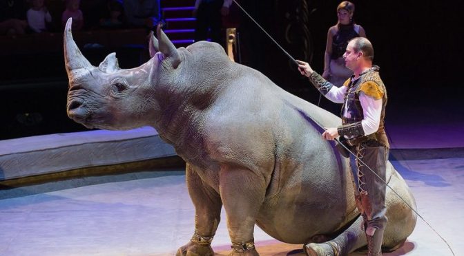 Фестиваль циркового скусства «Идол» вновь пройдет в Москве