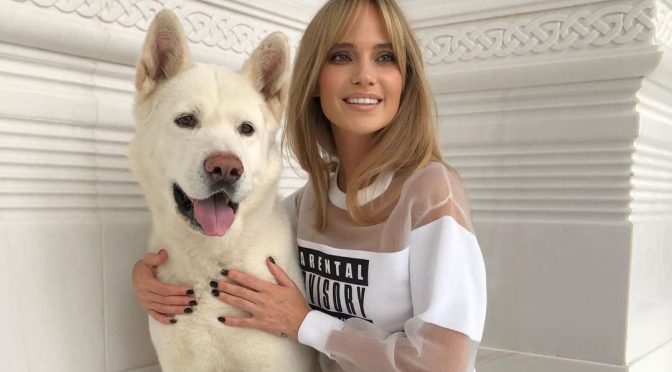 Премия «Golden Pet» вручит награды на площадке «90 этаж»